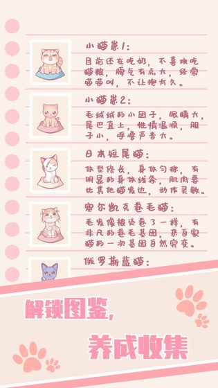 猫咪养成：云撸猫