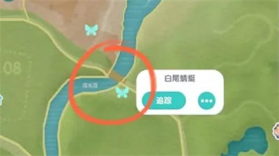 心动小镇手游白尾蜻蜓刷新位置怎么找 心动小镇手游白尾蜻蜓刷新位置合集