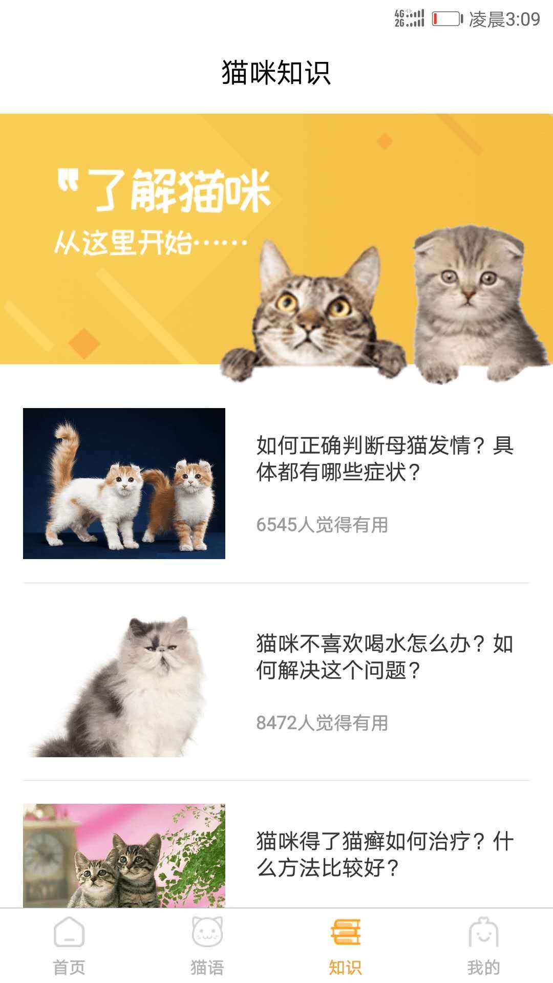 猫猫交流工具